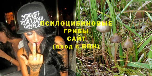 дурь Алзамай