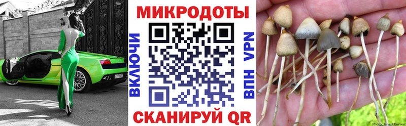 Галлюциногенные грибы мицелий  Сунжа 