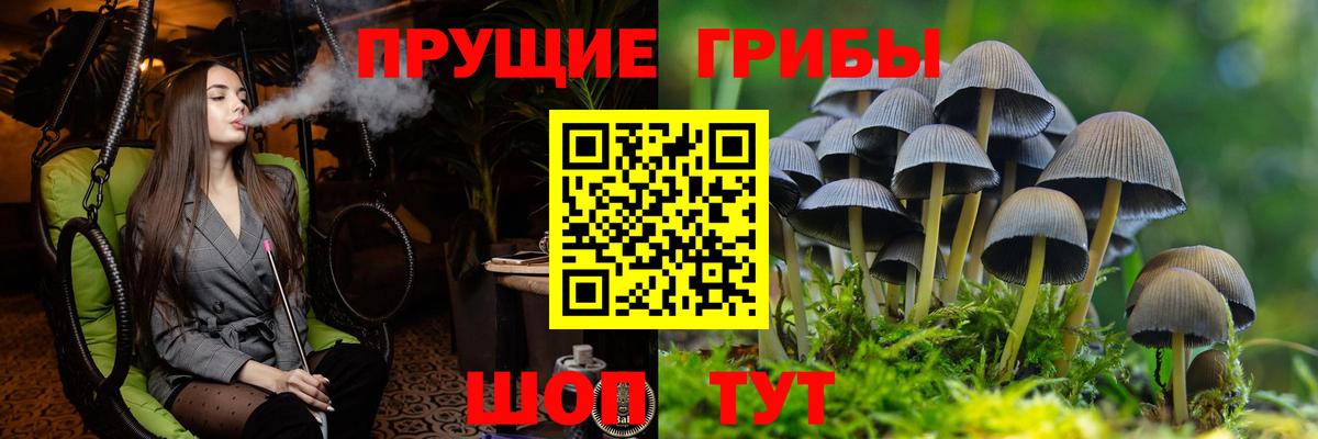 Сунжа  Псилоцибиновые грибы Magic Shrooms  Вход с VPN 